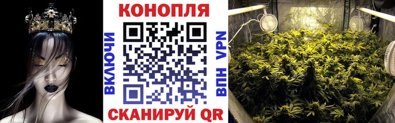 Бошки марихуана конопля  OMG как войти  Тамбов 